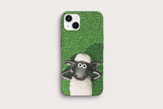 Koyun Shaun Case